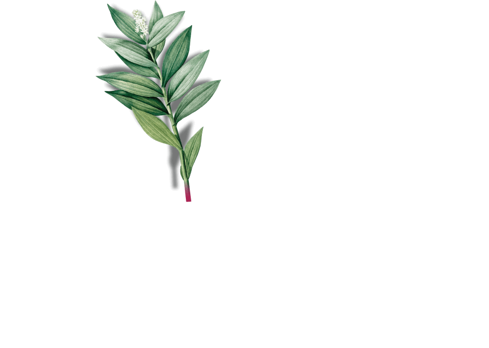 img-leaf2