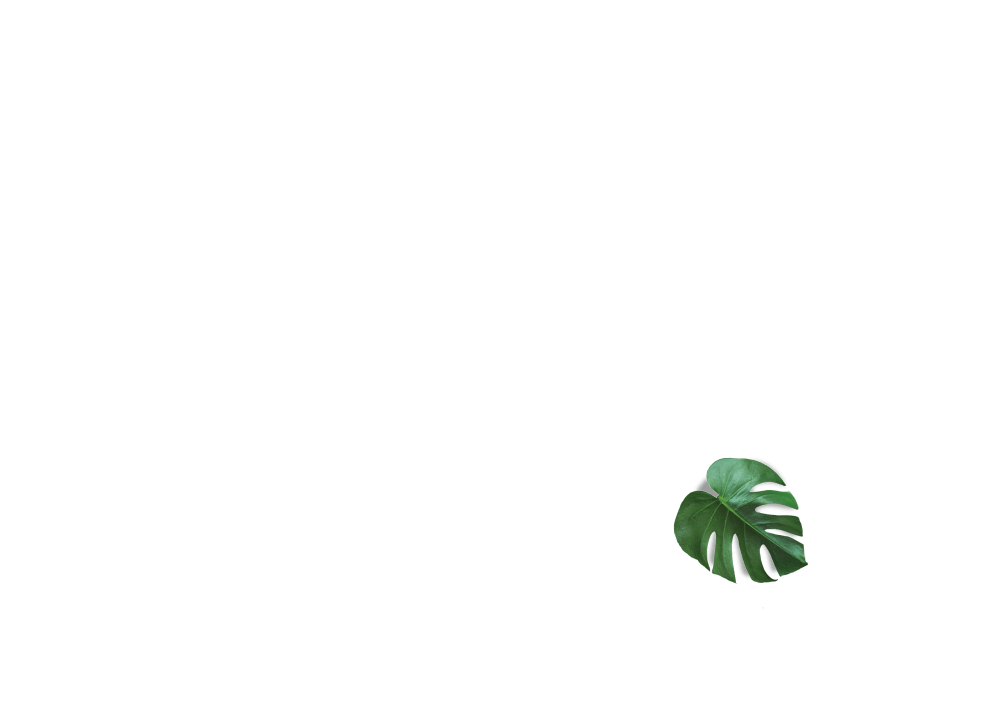 img-leaf4